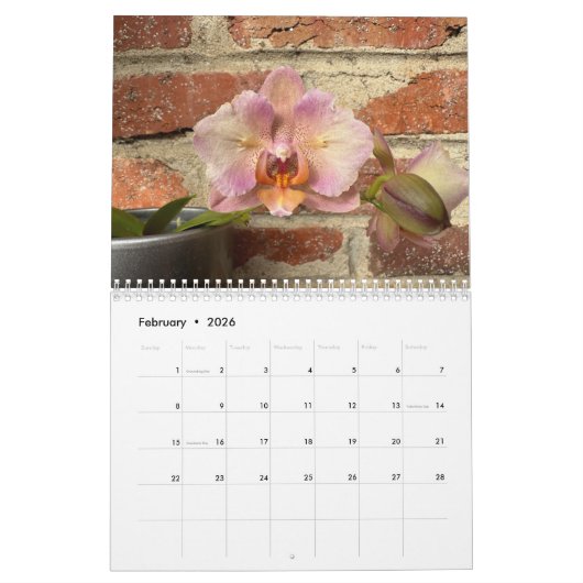 Brooklyn Orchids 2026 Calendar カレンダー (2月 2026)