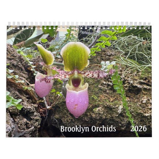 Brooklyn Orchids 2026 Calendar カレンダー (カバー)