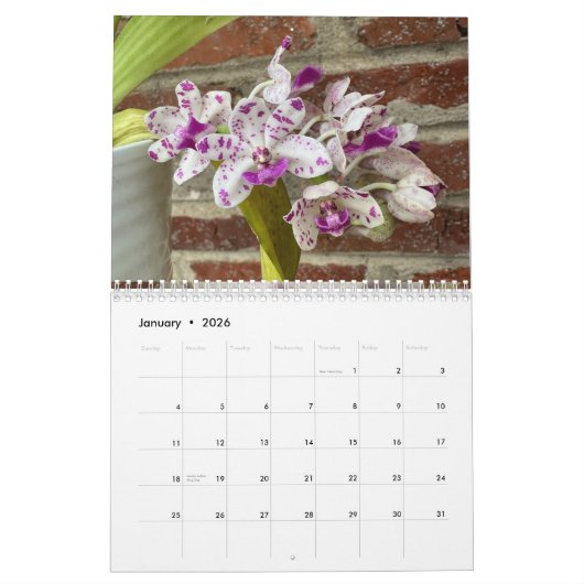Brooklyn Orchids 2026 Calendar カレンダー (1月 2026)
