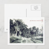 Brooksville Florida、Live Oak Drive、ヴィンテージポスト ポストカード (正面/裏面)