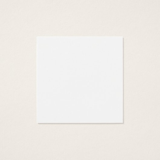 Bros、John Kennedy、Robert & Ted (裏面)