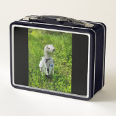 Brotbox Metallbox Brotdose Aufbewahrung メタルランチボックス (裏面)