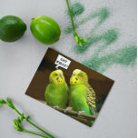 Brother Green Paraketsの写真誕生日 カード<br><div class="desc">明るいおもしろい緑色のParaketsのペアの写真の画像を特徴とする1人の兄のためのカラフル誕生日カードも、ブデギーと呼ばれる。マットまたは光沢のあるスタイル・カードから選択</div>