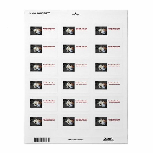 Brother & Sister Kitties ラベル (フルシート)