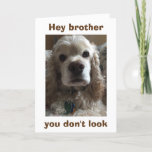*BROTHER* U DON'T LOOK A DAY OVER "FABULOUS" カード<br><div class="desc">THIS CUTE AND FUN LOVING COCKER SPANIEL (MINE OF COURSE) IS TELLING HIS **BROTHER**... .YOU DON'T LOOK "A DAY OVER FABULOUS" WITH AN ADDED "HAPPY BIRTHDAY AS WELL!!!</div>