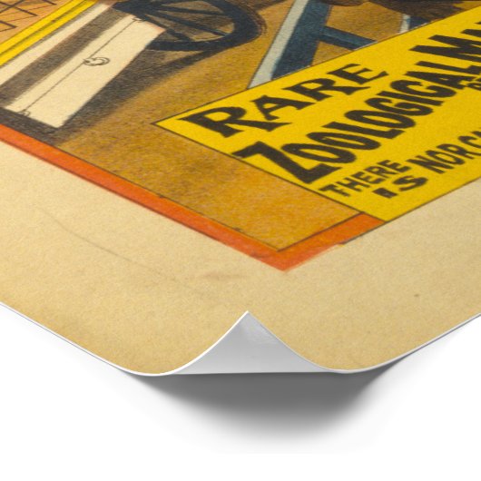 Brothers Zoological Marvels Circusポスターを販売 ポスター (角)