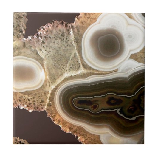 Brown Agate タイル (正面)