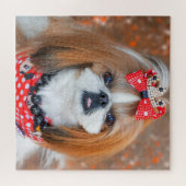 Brown and White Shih Tzu Puppy Dog ジグソーパズル (横)