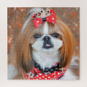 Brown and White Shih Tzu Puppy Dog ジグソーパズル