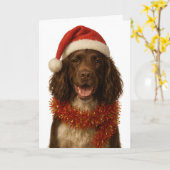Brown and white Sprocker Spaniel Christmas card カード (黄色い花)