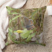 Brown Argus Butterfly Throw Pillow クッション (ブランケット)