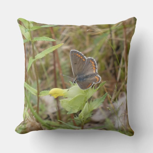 Brown Argus Butterfly Throw Pillow クッション (正面)