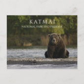 Brown BearはBrooks River, Katmai NPPに位置する。AK ポストカード (正面)