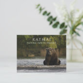 Brown BearはBrooks River, Katmai NPPに位置する。AK ポストカード (スタンド正面)