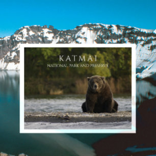Brown BearはBrooks River, Katmai NPPに位置する。AK ポストカード