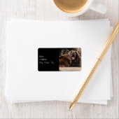 Brown Bear写真 ラベル (インサイチュ)