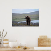 Brown Bear at the Katmai Preserve ポスター (キッチン)
