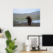 Brown Bear at the Katmai Preserve ポスター (ホームオフィス)