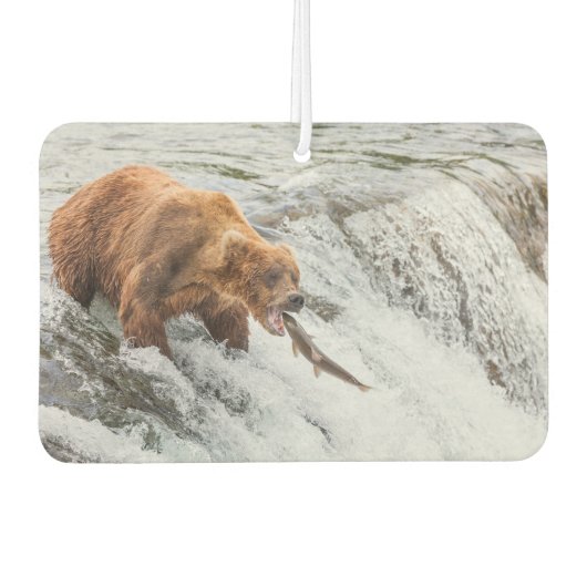 Brown Bear Catches Red Salmon カーエアーフレッシュナー (正面)