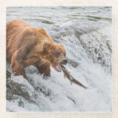 Brown Bear Catches Red Salmon ガラスコースター (正面)