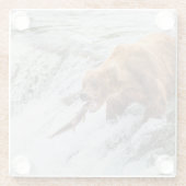 Brown Bear Catches Red Salmon ガラスコースター (裏面)