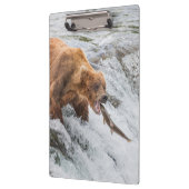 Brown Bear Catches Red Salmon クリップボード (左)