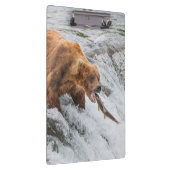 Brown Bear Catches Red Salmon クリップボード (右)