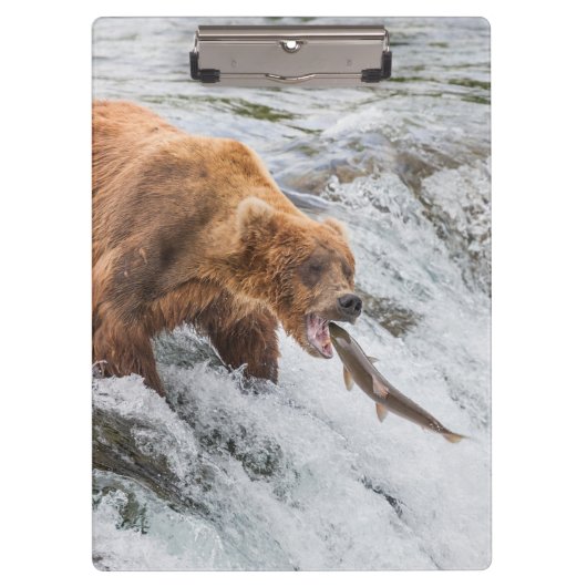 Brown Bear Catches Red Salmon クリップボード (正面)