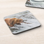 Brown Bear Catches Red Salmon コースター (左側)
