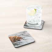 Brown Bear Catches Red Salmon コースター (右側)