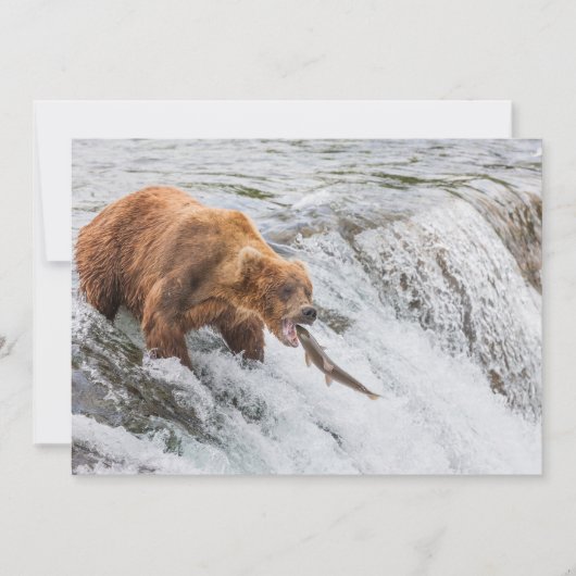 Brown Bear Catches Red Salmon サンキューカード (正面)