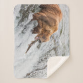 Brown Bear Catches Red Salmon シェルパブランケット (正面)