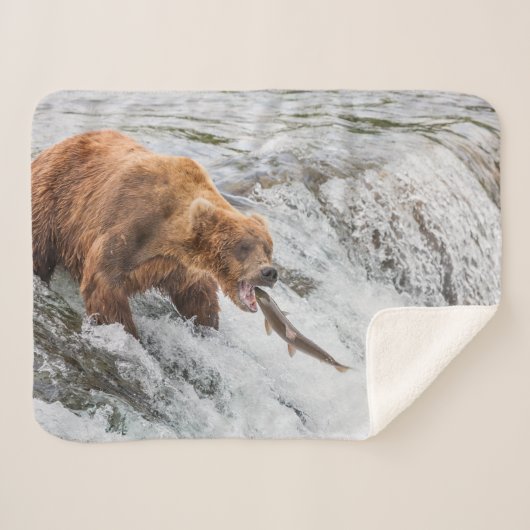 Brown Bear Catches Red Salmon シェルパブランケット (正面(横))