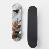 Brown Bear Catches Red Salmon スケートボード (正面)