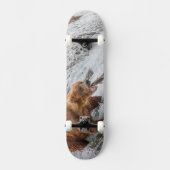 Brown Bear Catches Red Salmon スケートボード (正面)