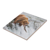 Brown Bear Catches Red Salmon タイル (側面)