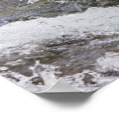 Brown Bear Catches Red Salmon ポスター (角)