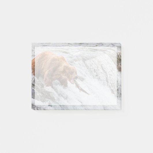 Brown Bear Catches Red Salmon ポストイット (正面)