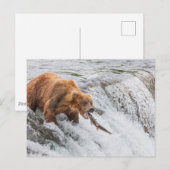 Brown Bear Catches Red Salmon ポストカード (正面/裏面)
