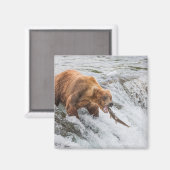 Brown Bear Catches Red Salmon マグネット (正面/裏面)