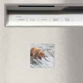 Brown Bear Catches Red Salmon マグネット (インサイチュ (食洗機))