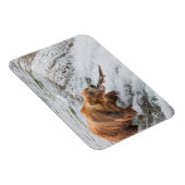 Brown Bear Catches Red Salmon マグネット (右側)