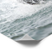 Brown Bear chasing salmon in river ポスター (角)