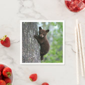 Brown Bear Cubの木の写真 スタンダードカクテルナプキン (インサイチュ)