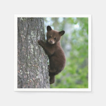 Brown Bear Cubの木の写真