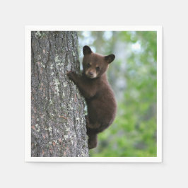 Brown Bear Cubの木の写真 スタンダードカクテルナプキン
