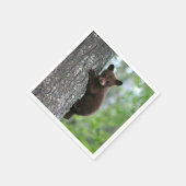 Brown Bear Cubの木の写真 スタンダードカクテルナプキン (角)