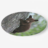 Brown Bear Cubの木の写真 ペーパープレート (アングル)