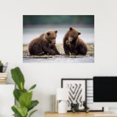 Brown Bear Cubs by the Stream ポスター (ホームオフィス)
