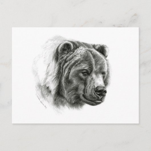 Brown Bear design by Schukina G054 ポストカード (正面)